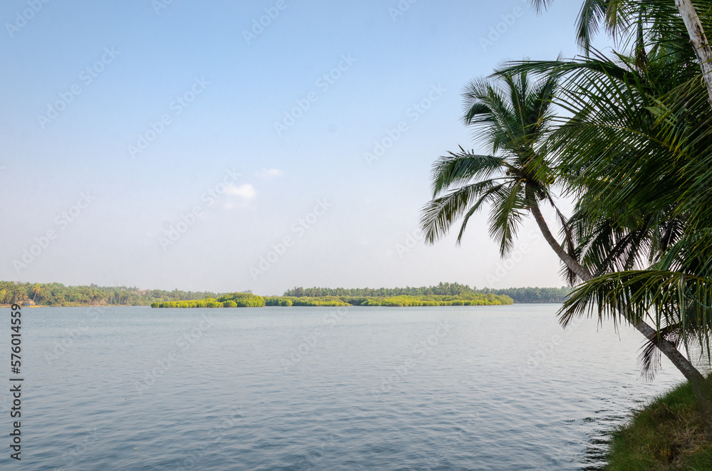 Obraz premium Backwaters of Kemmanu delta