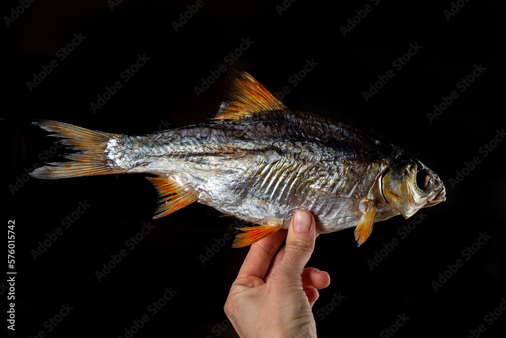Fototapeta premium Salted dried perch fish. Fish appetizer for beer