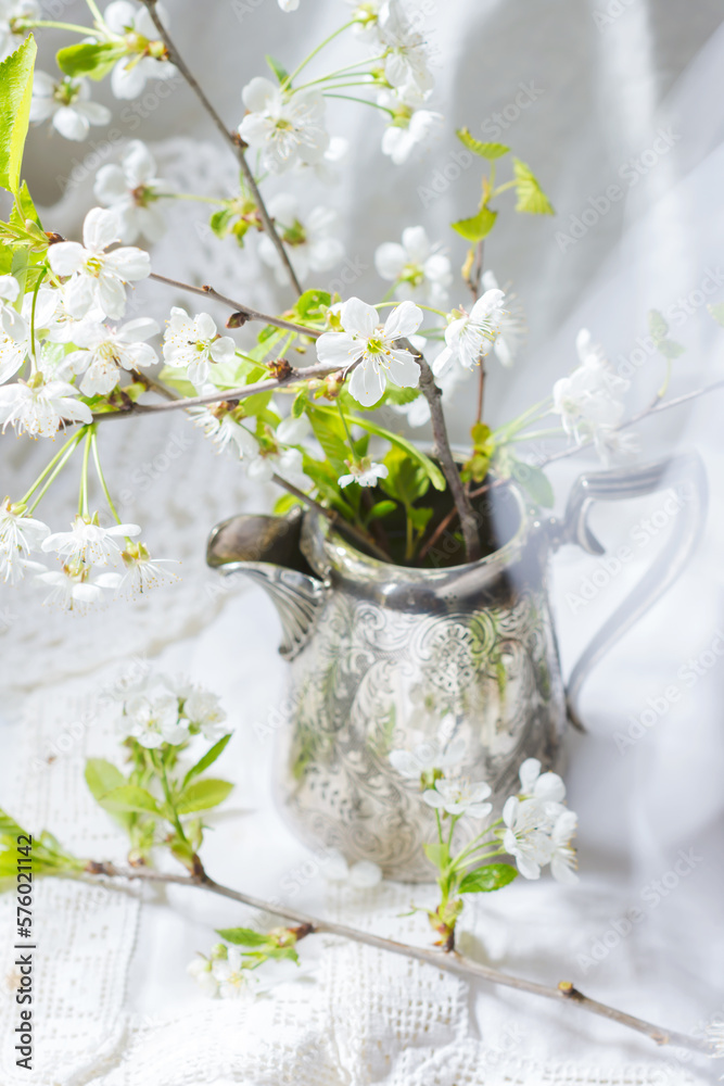Flowering white blossoms of cherry in branch  with green leaves in silver colored vase on white lace napkin background in springtime