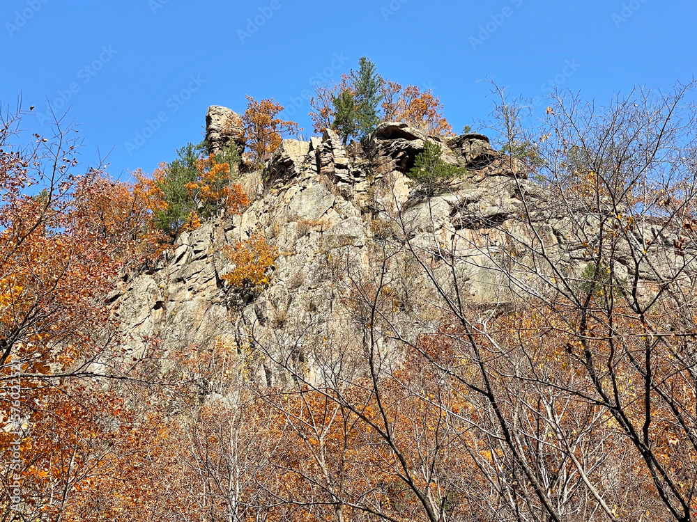 Oaks among the stones on the slope in the Gorge of the Cheeks of the Dardanelles in October. Russia, Primorsky Krai, Partizansky district