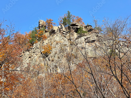 Obraz na płótnie Oaks among the stones on the slope in the Gorge of the Cheeks of the Dardanelles in October. Russia, Primorsky Krai, Partizansky district w salonie