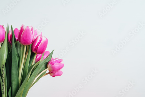 Fototapeta Naklejka Na Ścianę i Meble -  Beautiful bunch of fresh tulips in full bloom against white background. Negative space for text. Spring flowers.