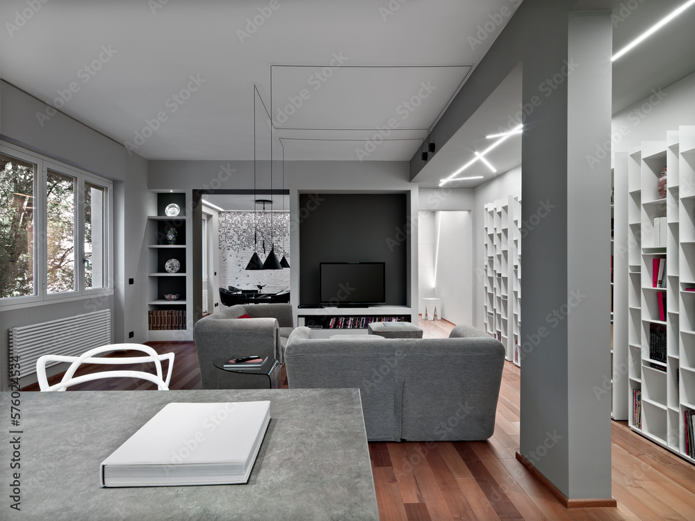 Interior view of a modern living room with a wooden floor and bookcase in the background there is the dining room Interior view of a modern living room with a wooden floor and bookcase in the background there is the dining room