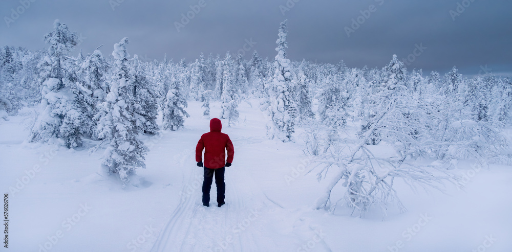 Brave traveler before a long winter road. Lonely traveler in a fabulous winter forest. Severe northern weather, poor visibility. Polar expedition. Snowy slope in a foggy frost shroud. Brave traveler before a long winter road. Lonely traveler in a fabulous winter forest. Severe northern weather, poor visibility. Polar expedition. Snowy slope in a foggy frost shroud.