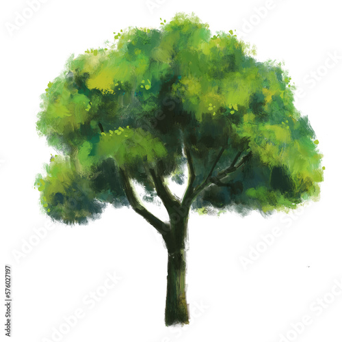 Tree with isolated background.Garden plant element illustration.Natural object paintiong