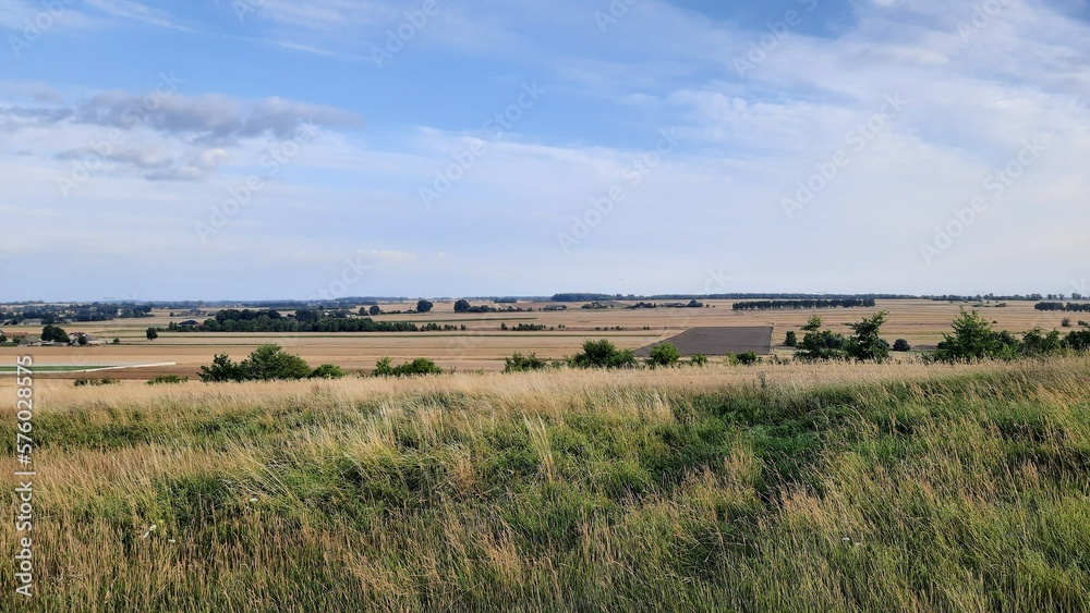 Grass and fields