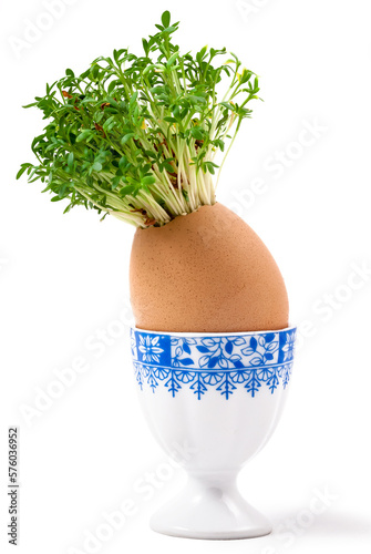 fresh watercress growing from an egg on a stand