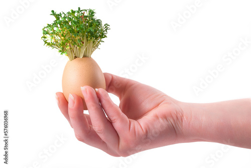 fresh watercress growing from an egg held in hand