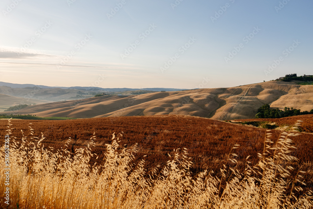 beautiful summer day on meadows in Tuscany