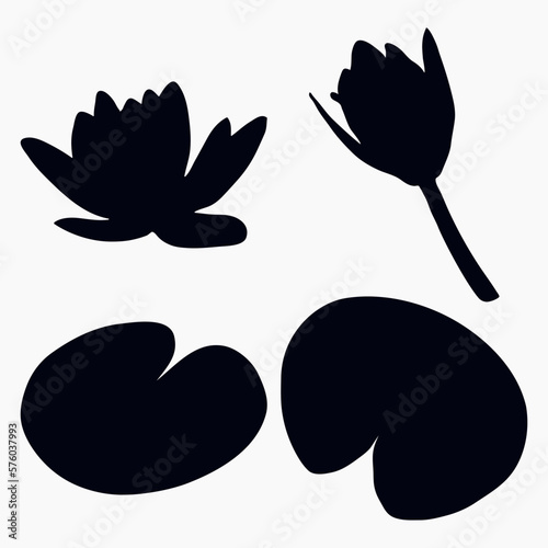 Real modern silhouettes plants, herbs. Drawing flowers water lily, nymphaea. Flat design art design template.