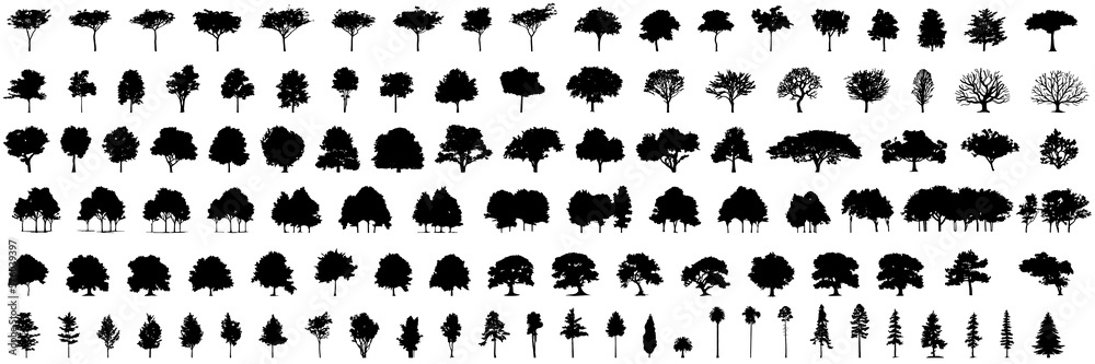 silhouette tree line drawing set, Side view, set of graphics trees elements outline symbol for architecture and landscape design drawing. Vector illustration in stroke fill in white. Tropical - obrazy, fototapety, plakaty 