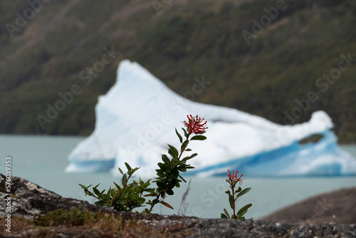 Perito Moreno Glacier, El Calafate, Argentina on January 25, 2023: here one of the South American glaciers.