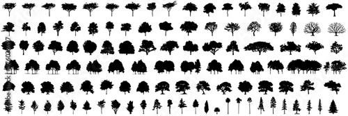 silhouette tree line drawing set, Side view, set of graphics trees elements outline symbol for architecture and landscape design drawing. Vector illustration in stroke fill in white. Tropical