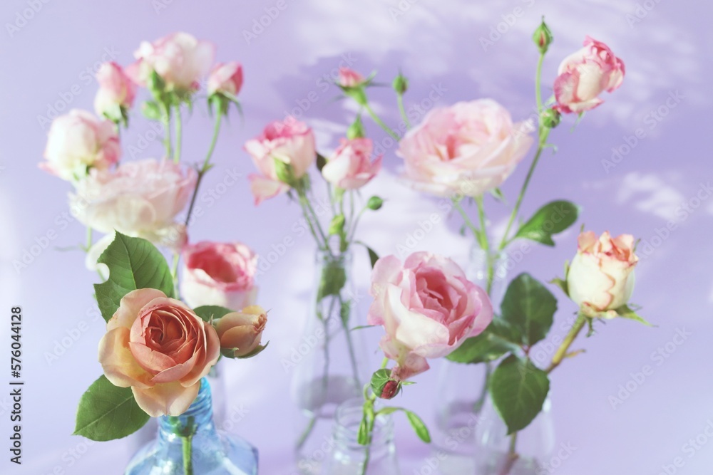 Fototapeta premium Fresh pink roses in glass transparent vases, flowers for romantic greetings, happy birthday, invitations, postcard