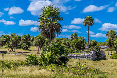 A view past palm trees towards temple ruins at the Mayan settlement of Tulum  Mexico on a sunny day
