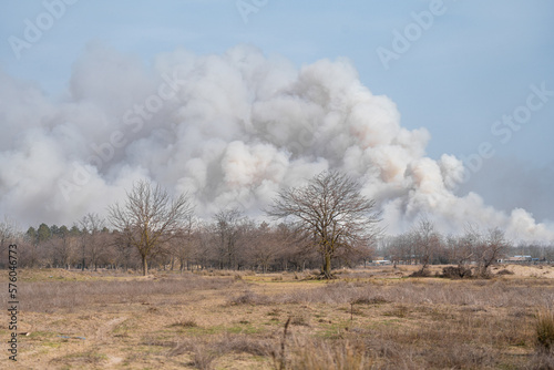 Huge cloud of smoke from burning reed. The smoke is raising from near Vylkove Village, Ukraine