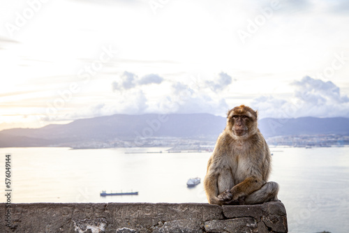 Gibraltar © JOSE MARIA BENITEZ