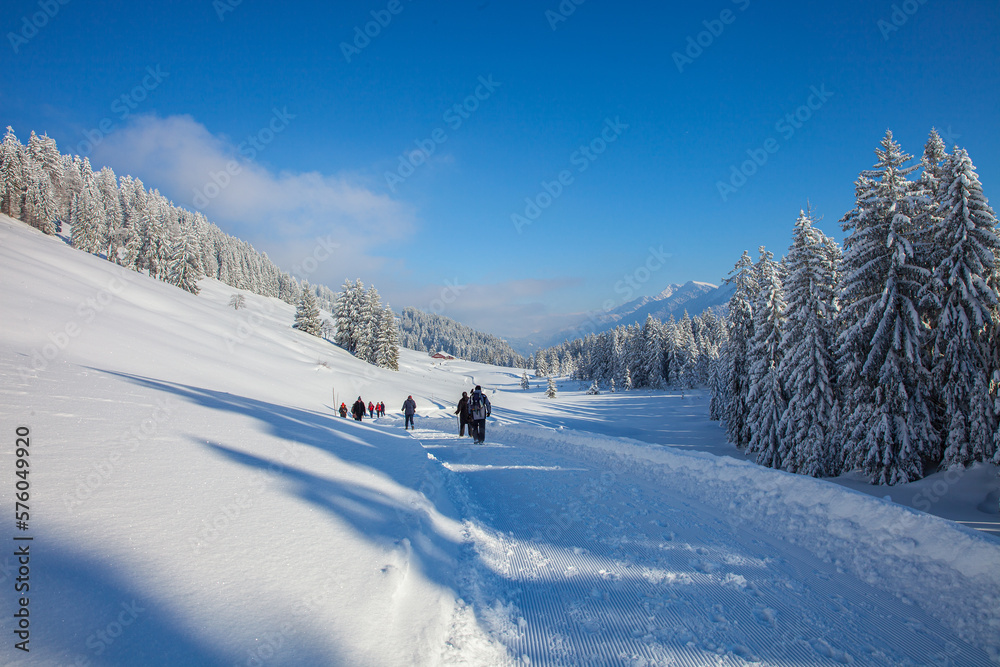 Winterwanderung_0101