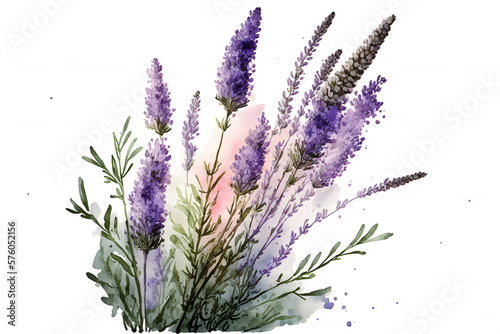Lavender flower  generative AI illustration