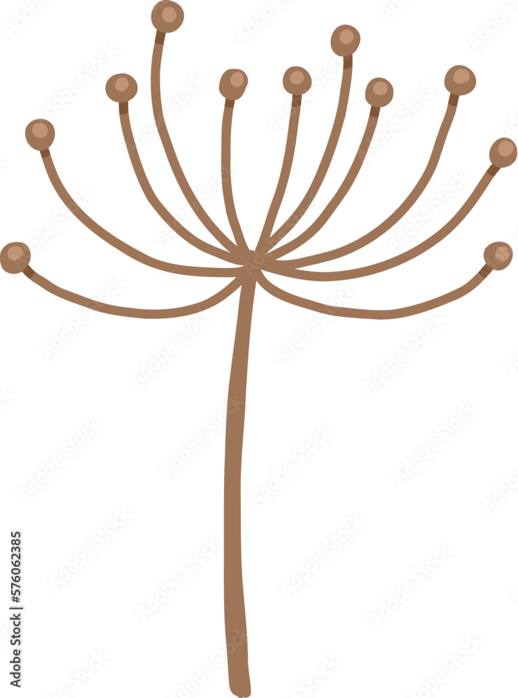 Dry autumn leave of oak, ash and birch trees of different colors. Top view of fall tree leaf. Gold, red, brown and green autumnal foliage set. Flat vector illustration isolated on white background Dry autumn leave of oak, ash and birch trees of different colors. Top view of fall tree leaf. Gold, red, brown and green autumnal foliage set. Flat vector illustration isolated on white background