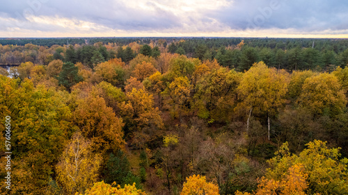 Fototapeta Naklejka Na Ścianę i Meble -  Beautiful colored forest during fall. Aerial drone picture of Belgian forest in Antwerp in autumn shot by a drone. High quality photo