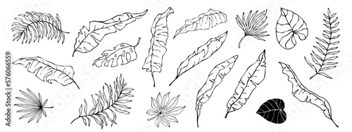 The collection of linear sketches of tropical leaves. Vector graphics.