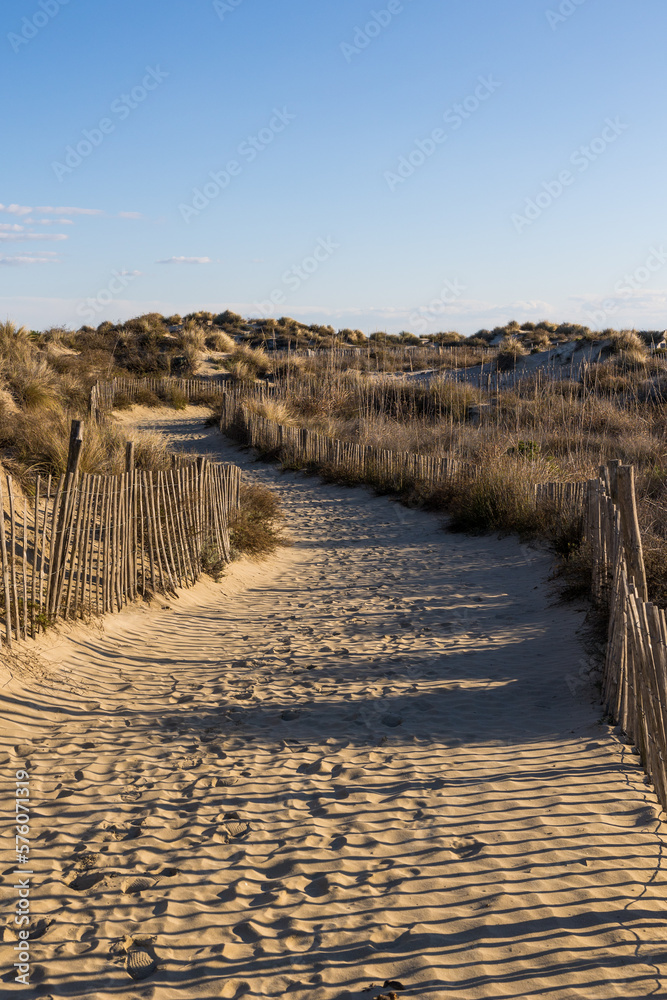 Cheminement à travers les dunes de sable vers la plage du Petit Travers à Carnon
