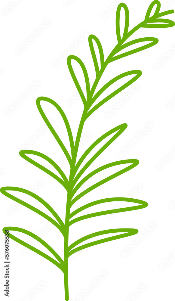 Fototapeta premium green leaves and branch line illustration