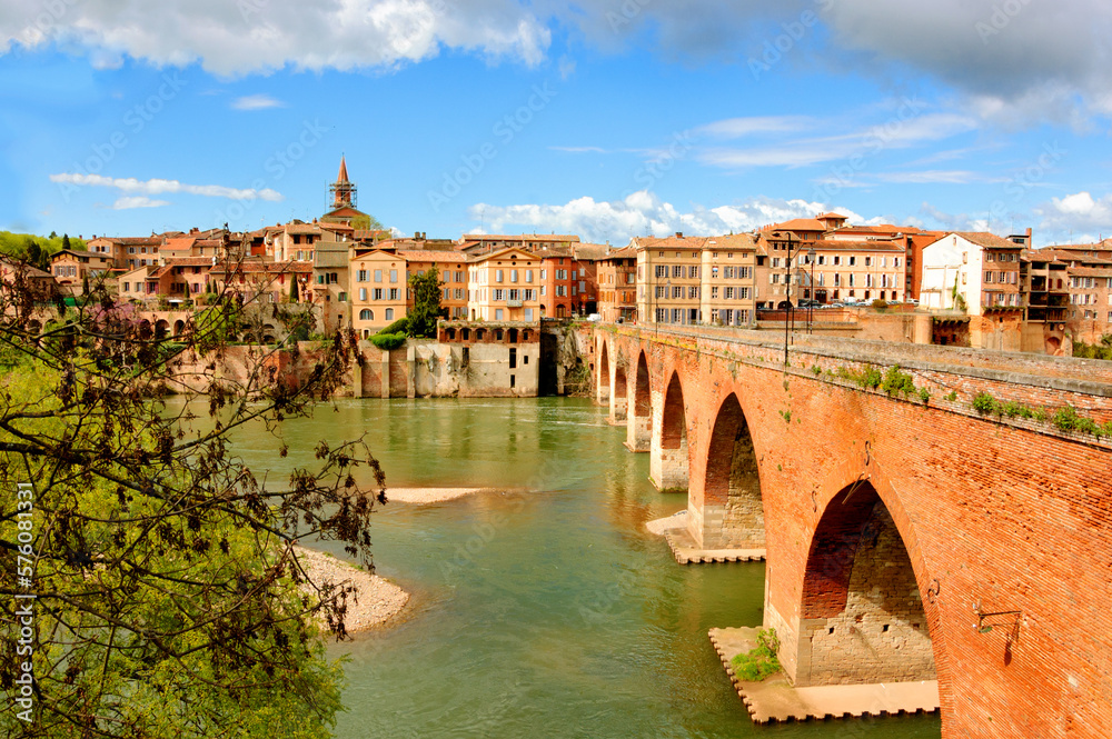 View of medieval town of Albi and Tarn river with its bridges from Bishop palace. France