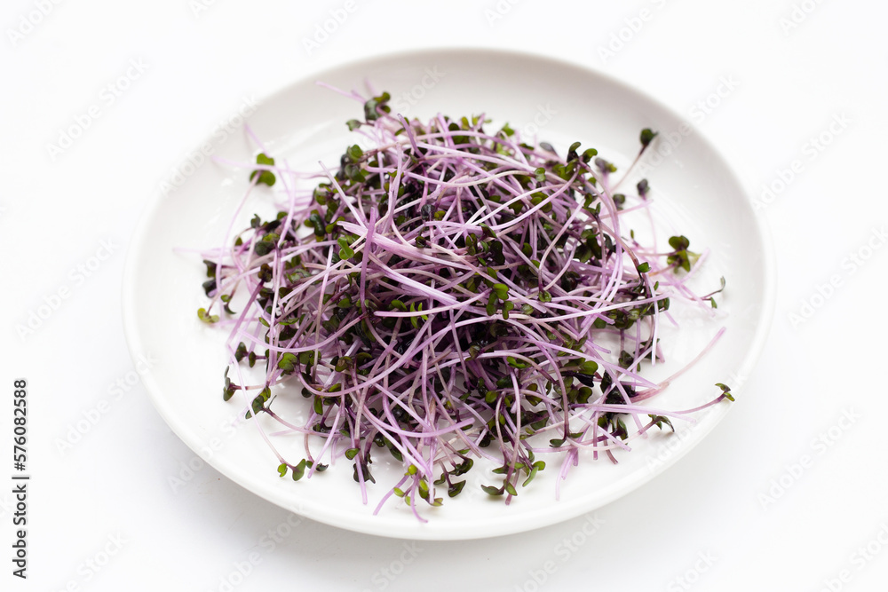 Organic red cabbage sprouts on white background. Organic red cabbage sprouts on white background.