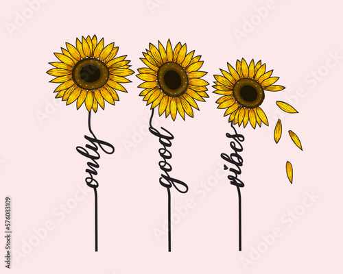 sunflower illustration