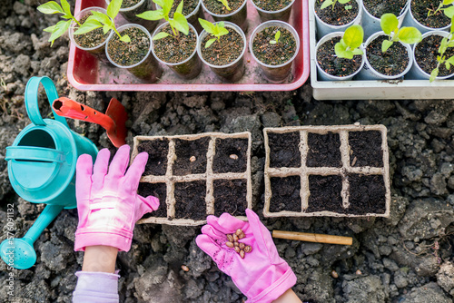 Top view of girl farmer hands planting seeds for her hobby garden. Activities for growing plants with children concept. Kids learning gardening outdoors.