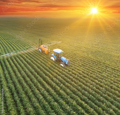 Aerial view of crop sprayer spraying pesticide on a soybean field at sunset, Drone shot flying over agricultural soybean field, tractor and crop sprayer protection plants