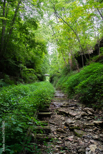 abandoned Railway in the forest