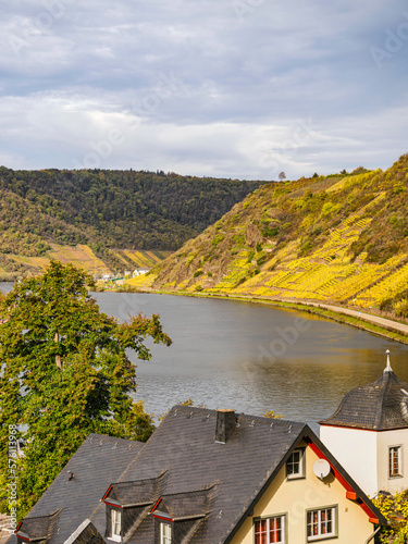 Bruttig fankel Vineyards view from Beilstein on Moselle river, Germany photo