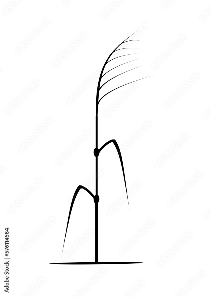 stilisierter grashalm als schwarze siouhette stilisierter grashalm als schwarze siouhette