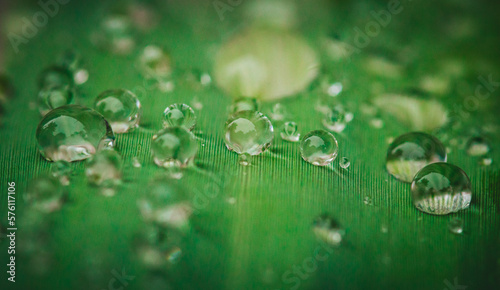 Close up of a few rain drops on a grean leaf with blurry background