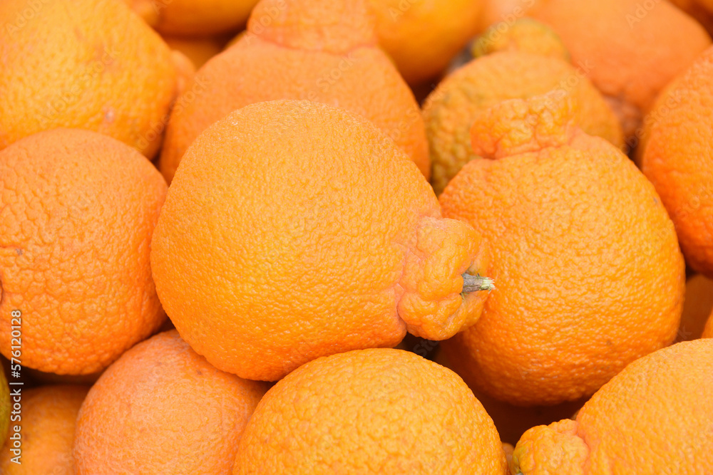 Super sweet Sumo Mandarin Oranges, a cross breed between a satsuma and