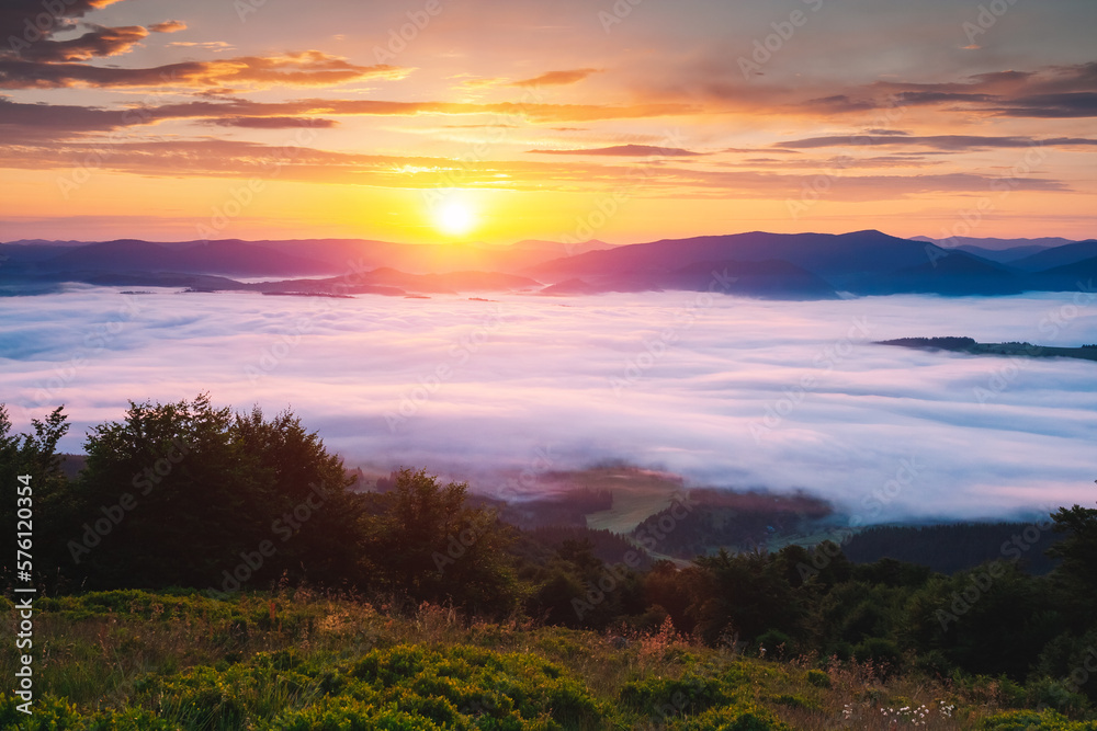 Top view of dense fog in alpine valley in rays of morning light. Carpathian mountains, Ukraine.