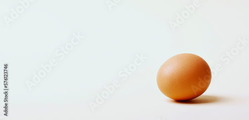 Chicken Egg on light Background. Single Brown Egg Healthy Eating. Ecological food products. Keto diet products.