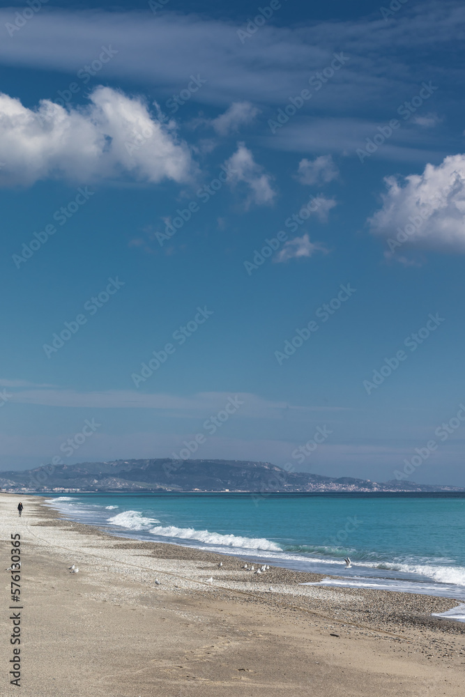 photo of sea and beach with seagulls 