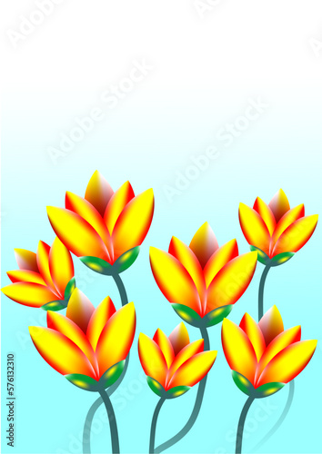 background images  flowers arranged to create images used in graphics