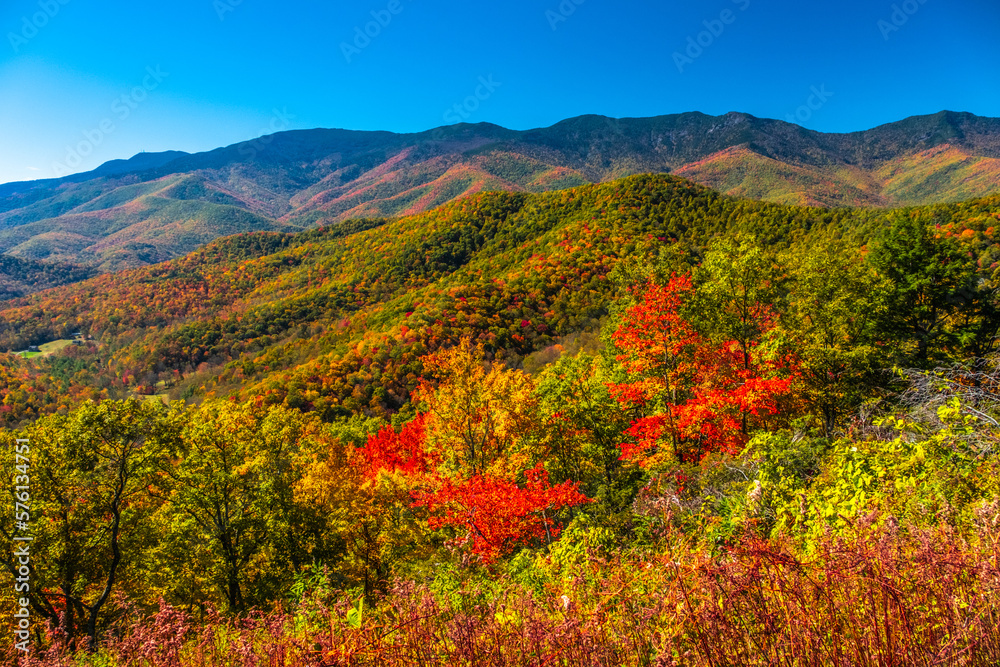 Autumn Colors on the Blue Ridge Parkway NC