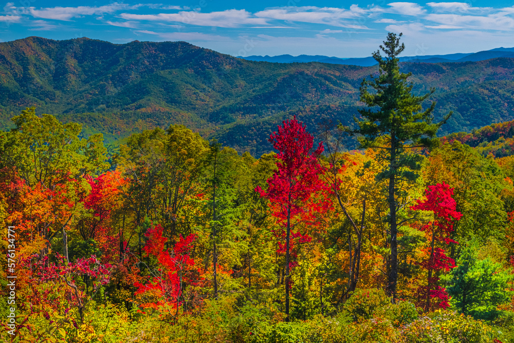 Fall Colors on the Blue Ridge Parkway NC