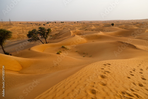 Desert sand dunes at Liwa Oasis UAE