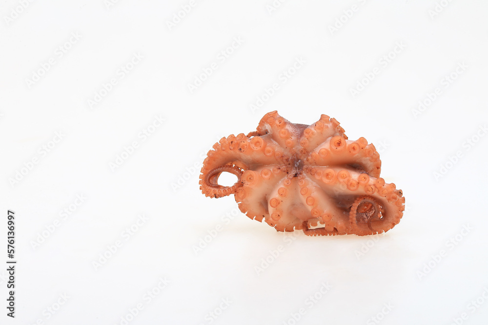 Cooked octopus on a white background Cooked octopus on a white background