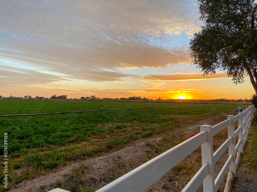 white picket fence with sunset in the farm field