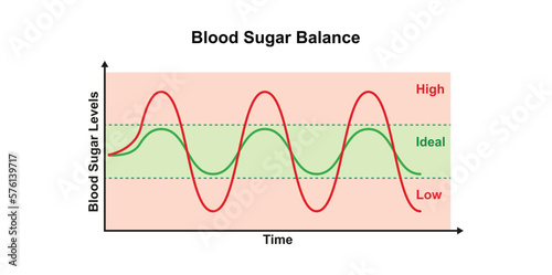 Blood Sugar Balance. Vector Illustration.