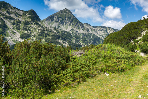 Summer view of Pirin Mountain around Banderitsa River  Bulgaria