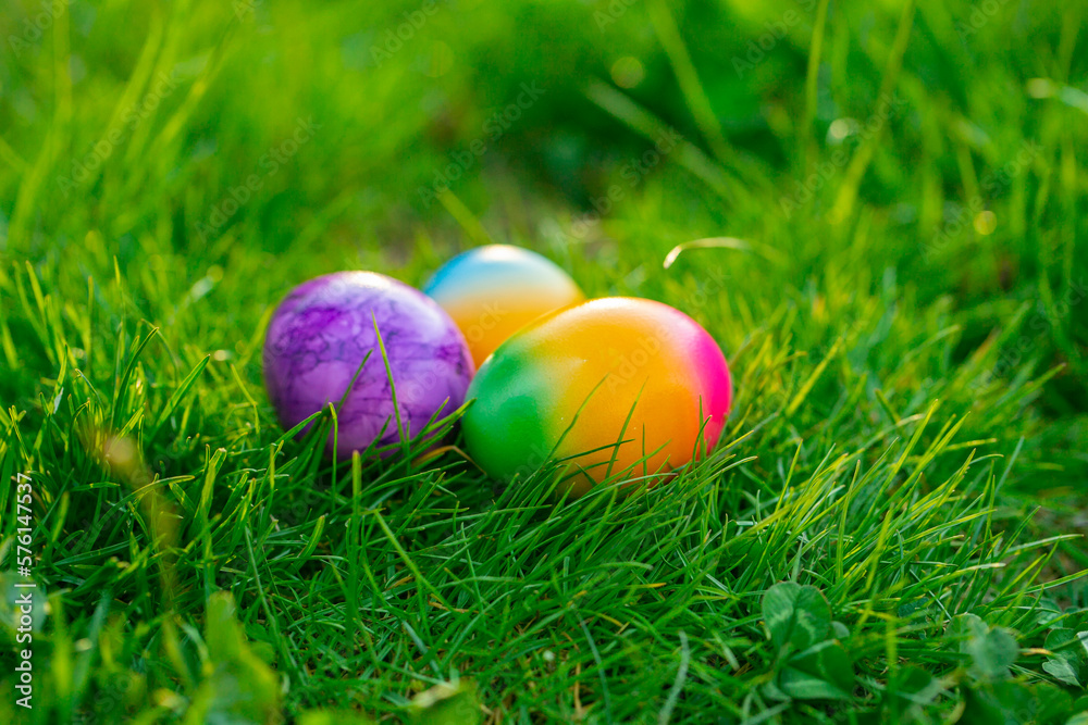 Easter Egg.Easter Egg Hunt. multicolored painted eggs in green grass.Easter food.Spring religious holiday.Collection of colored eggs. holiday tradition 